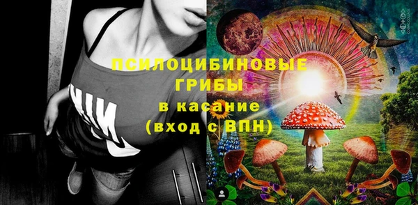 PSILOCYBIN Богданович