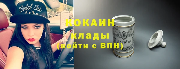PSILOCYBIN Богданович