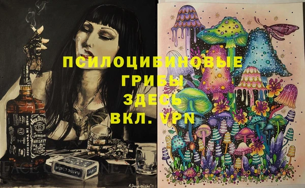 mix Осинники