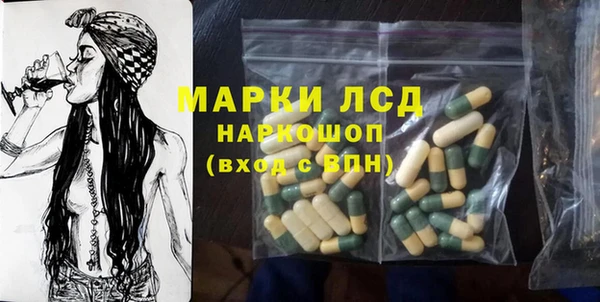 PSILOCYBIN Богданович