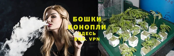 стафф Богородицк