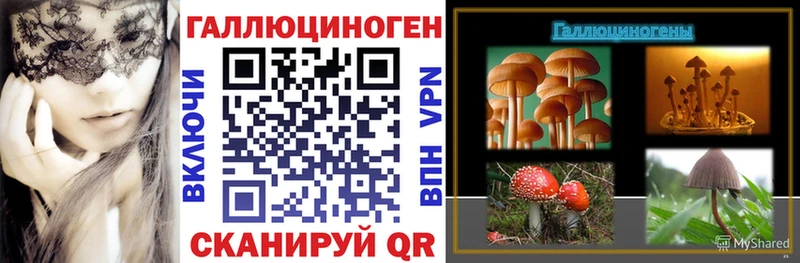 Галлюциногенные грибы MAGIC MUSHROOMS  MEGA ТОР  Петухово 